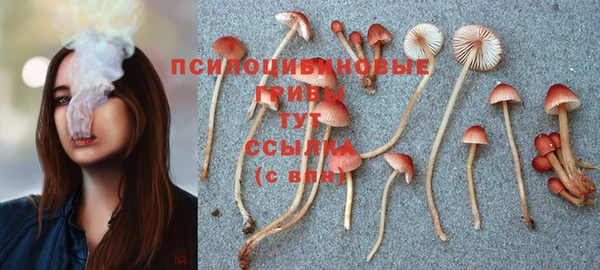 индика Абдулино